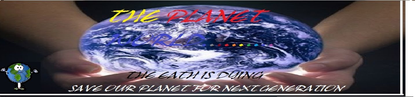 The Planet World
