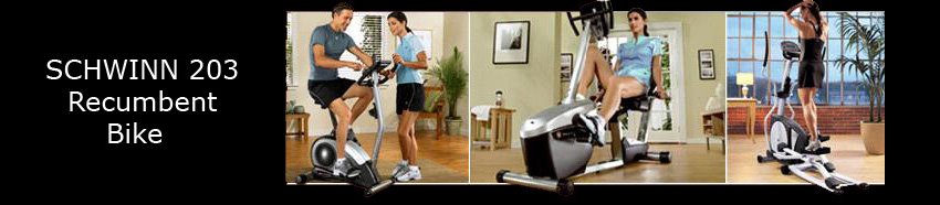 Schwinn 203 Recumbent Bike
