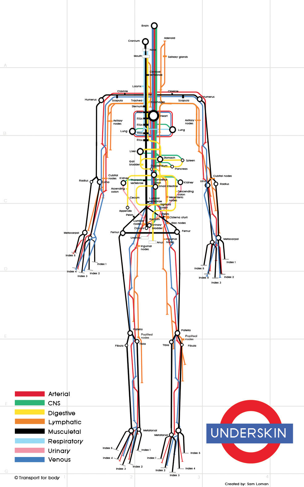 [human_subway_map_full_size.jpg]