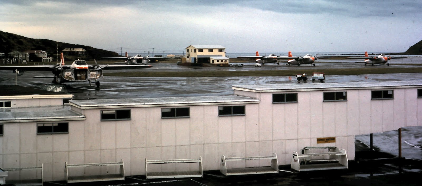 wellington airport arrivals departures wellington airport arrivals departures
