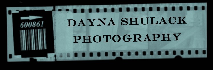 Dayna Shulack Photography