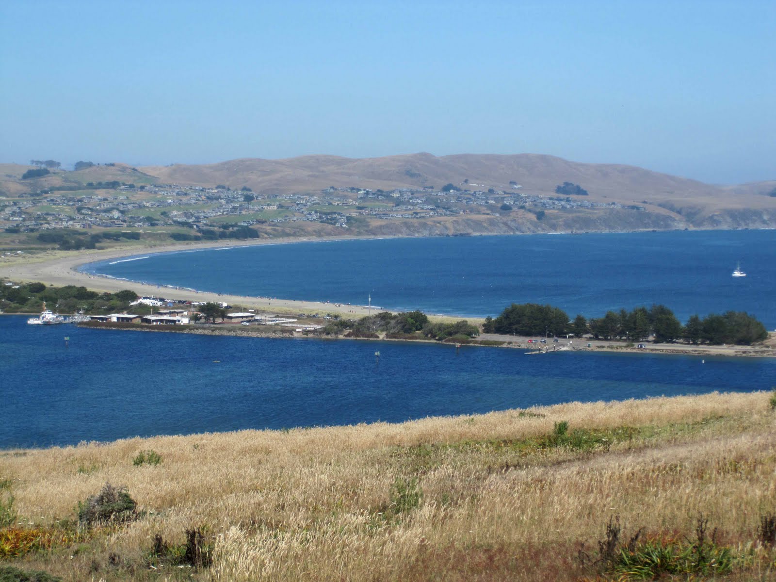 BodegaBayLife Day at Bodega Head!