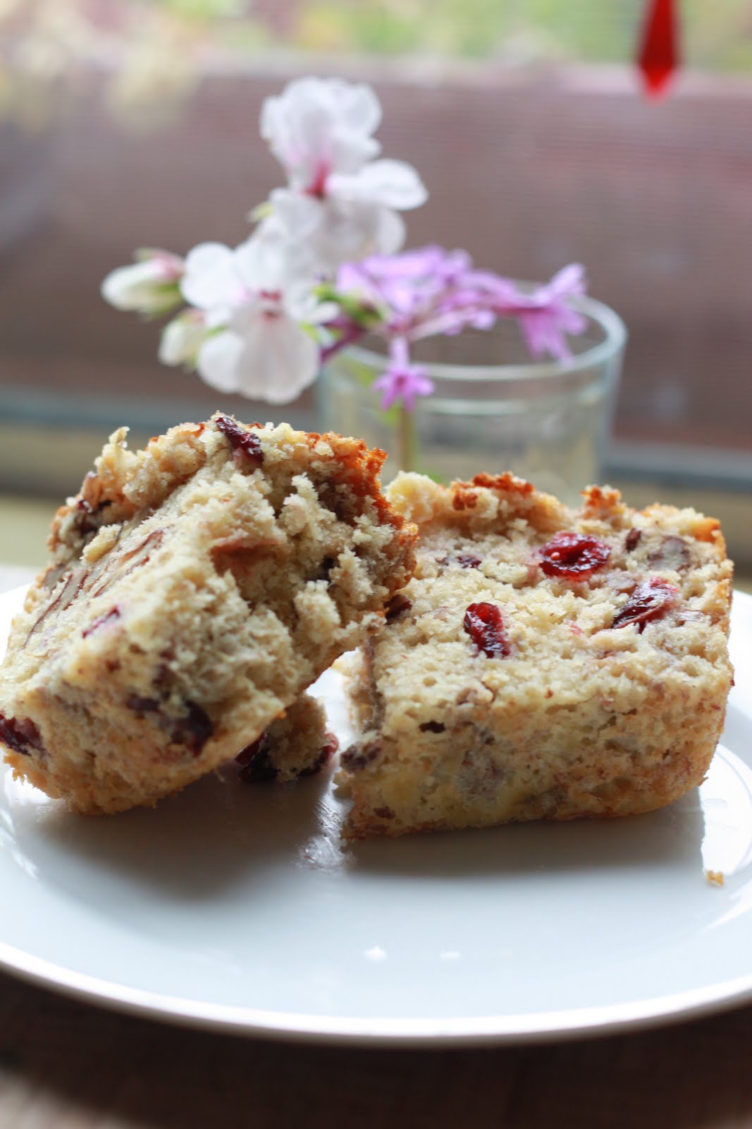 Momma's Meals Cranberry Banana Oat Bread