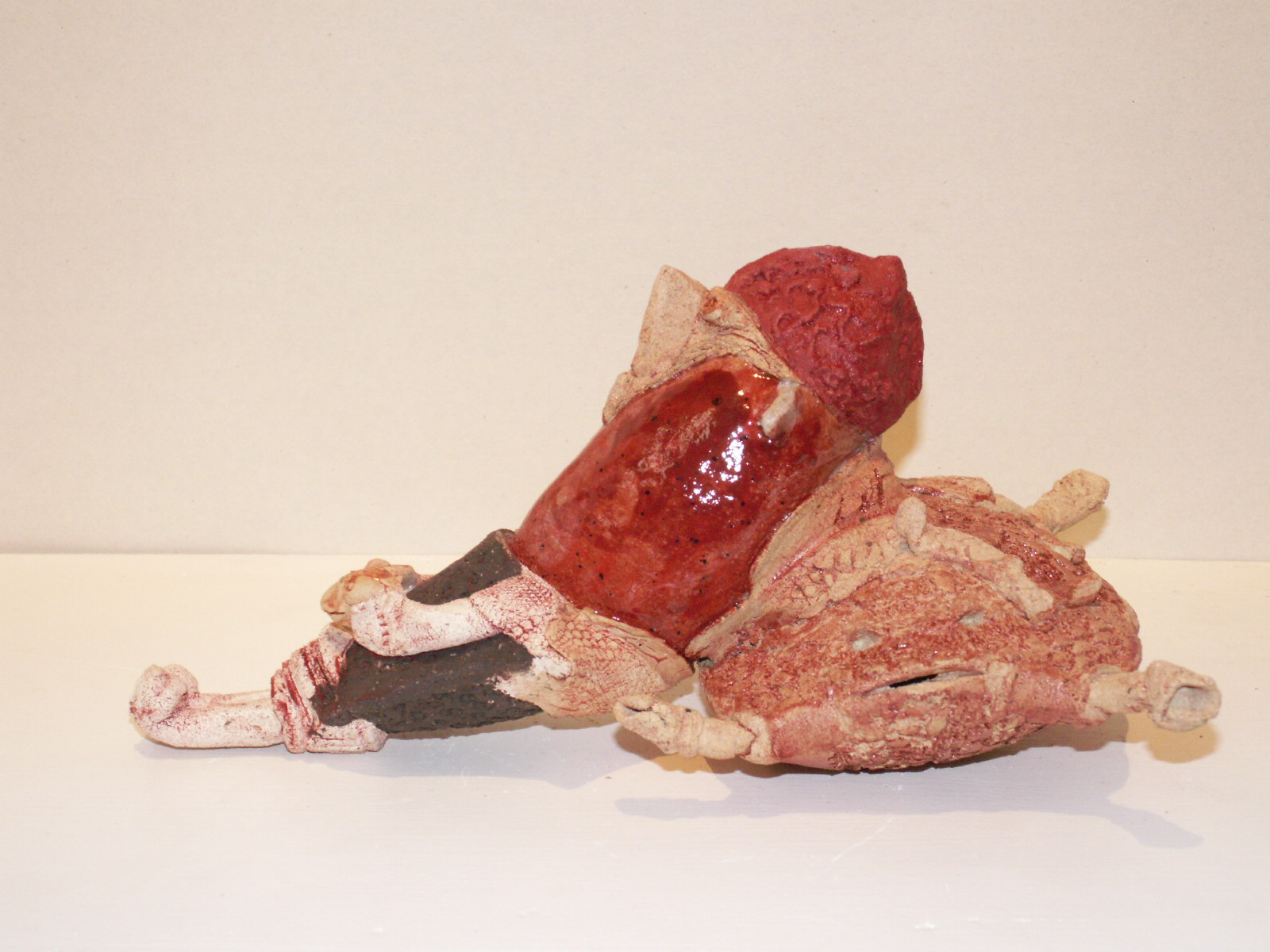 [O+duque+e+a+tartaruga+vermelha.JPG]