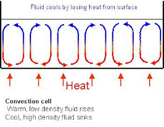 Physics Project: 2. Convection