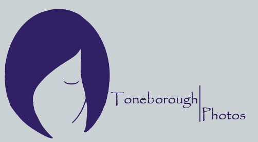 Toneborough Photos