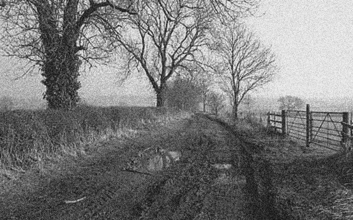 [Gartree+Road+(002).jpg]