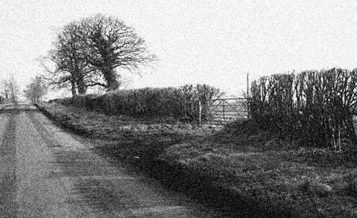 [Gartree+Road+(001).jpg]