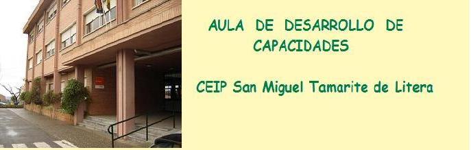 AULA DE DESARROLLO DE CAPACIDADES