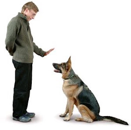 Train Your Dog Without Touching Him!