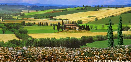 Details, a professional planning company: Set the Scene