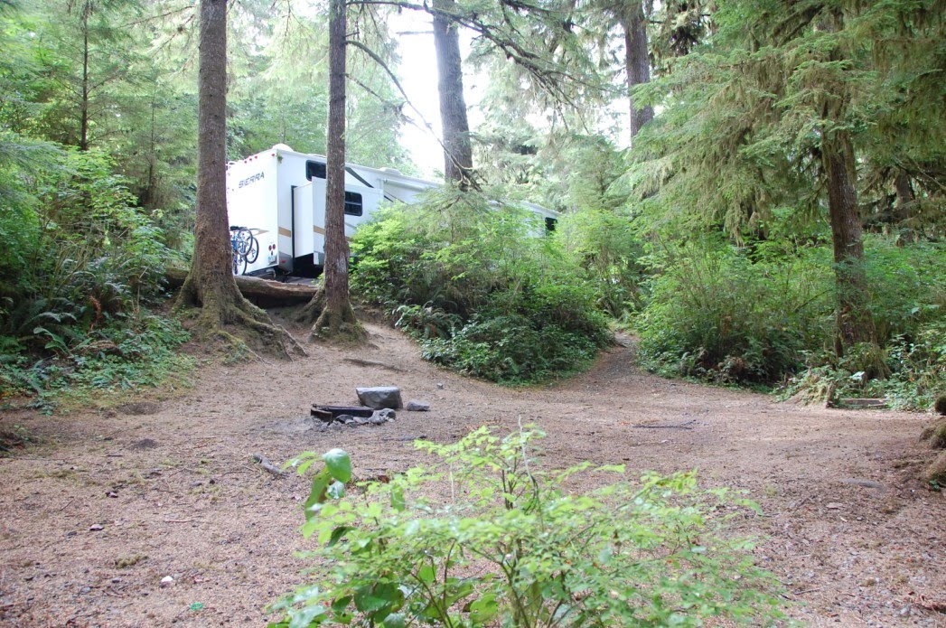 Free camping in the Hoh Rainforest