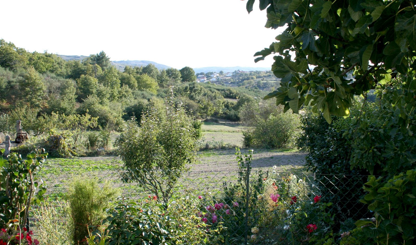 [Jardim+da+Tia+Becidade.jpg]