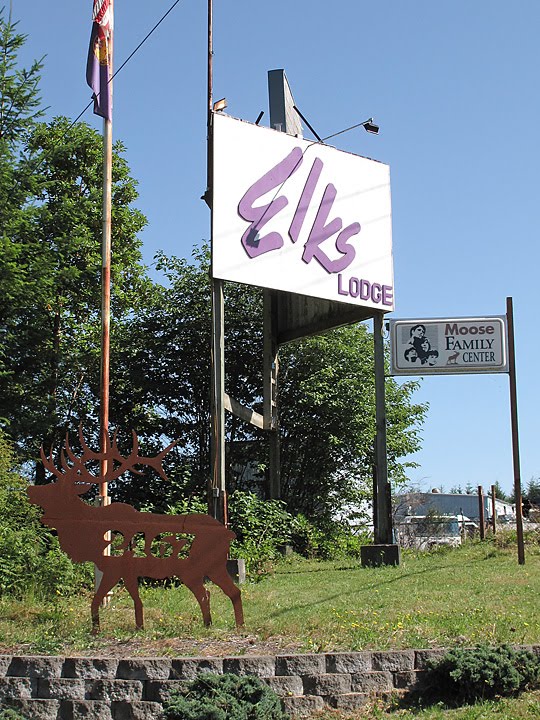 Enjoy The Journey Elks and Moose