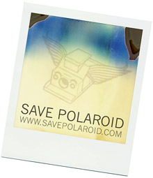 [savepolaroid.jpg]