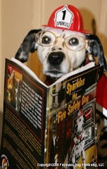 Sparkles has read "Sparkles the Fire Safety Dog." Have you?