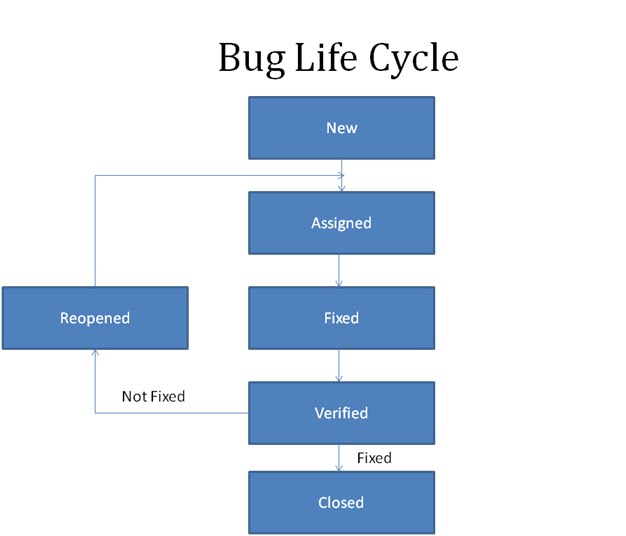 Software Testing: Bug Life Cycle-Definitions and different Severities