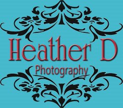 Heather D Photography