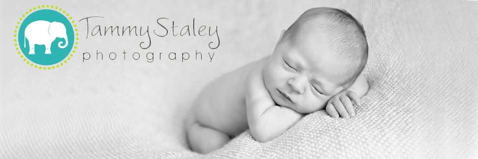 Staley Photography  ...Albuquerque Newborn, Baby, Children, Family and Senior Photographer
