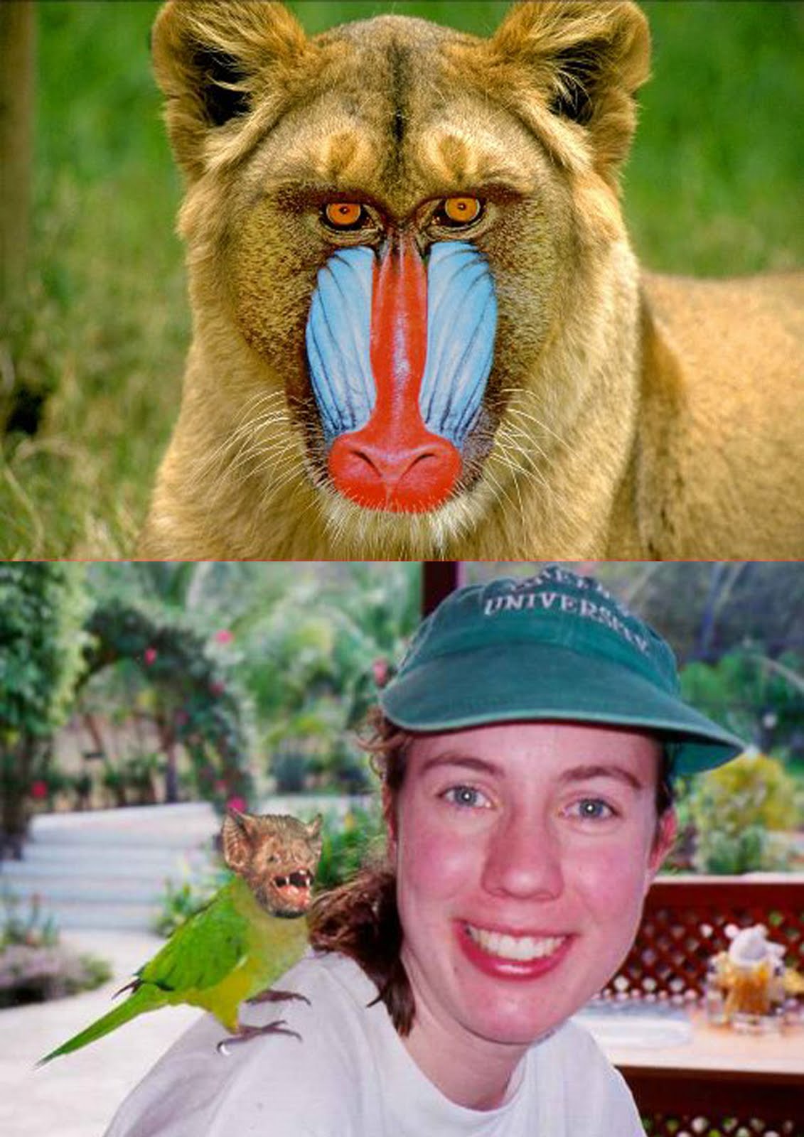 Shalu The Silobreaker Hybrid Animals pictures