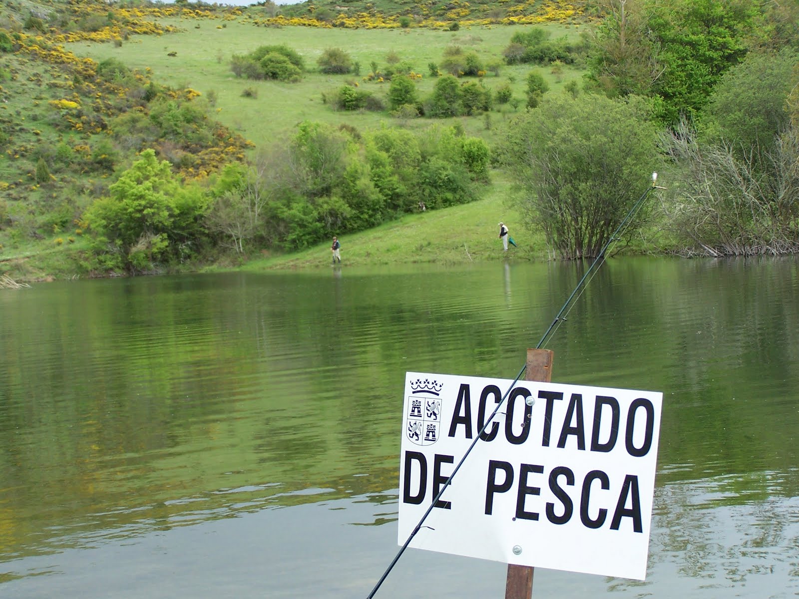 Número elegido en el sorteo de cotos de pesca de trucha en Cantabria 2012 Número elegido en el sorteo de cotos de pesca de trucha en Cantabria 2012
