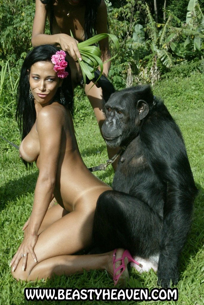 Monkey Fuck Woman Animal Porn - Ape chimpanzee fucking woman - Other - XXX videos