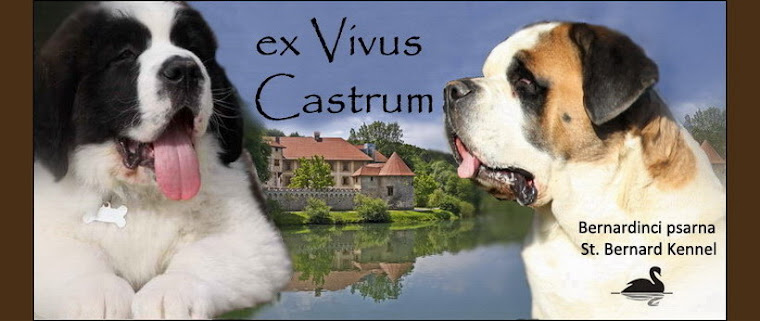 Bernardinka Tisa-ex Vivus Castrum