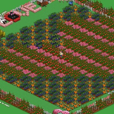 [farmville+1.jpg]