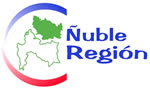 YO Apoyo Ñuble Region(Clic en logo para ir a web Oficial)