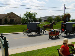 Amish Buggies