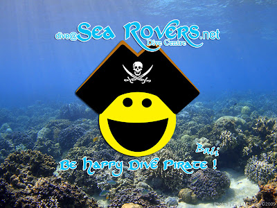 Sea Rovers Desktop Wallpaper - Sea Rovers Dive Center Pemuteran Bali