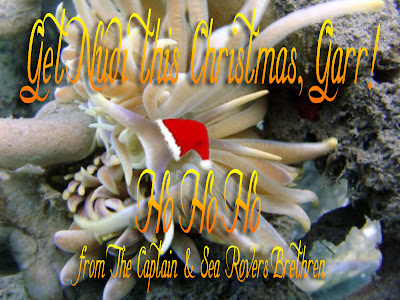 Funky Nudibranch Christmas Greetings