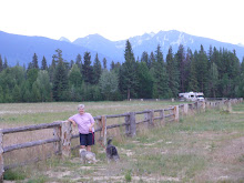 7-13 Campsite @ Valemount
