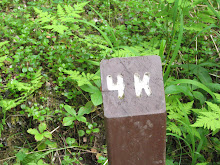 7-14 Half a kilometer to go (about 1/4 mile)