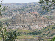 7-23-07 Teddy Roosevelt NP