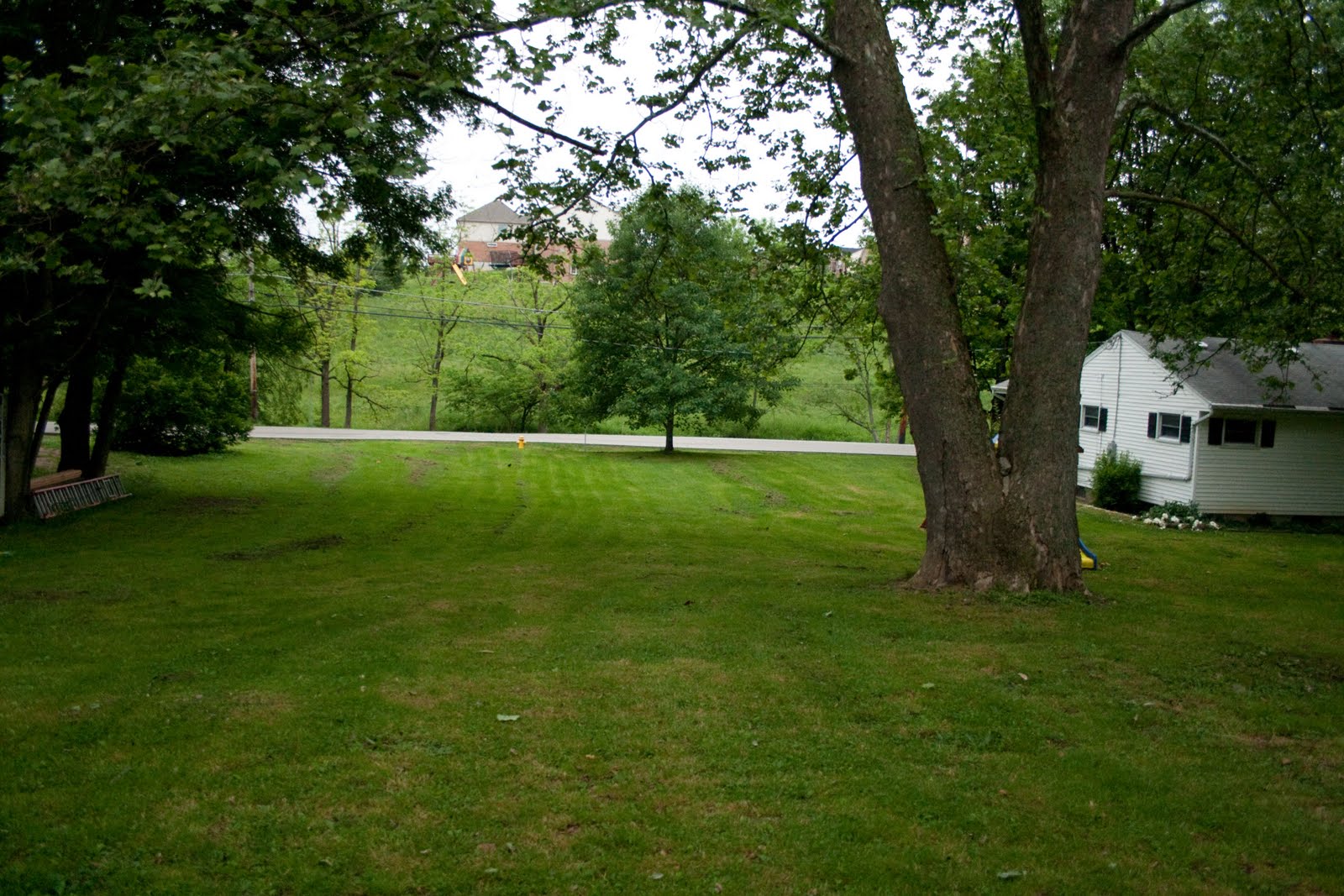 2068 longbranch rd. Union, KY 41091