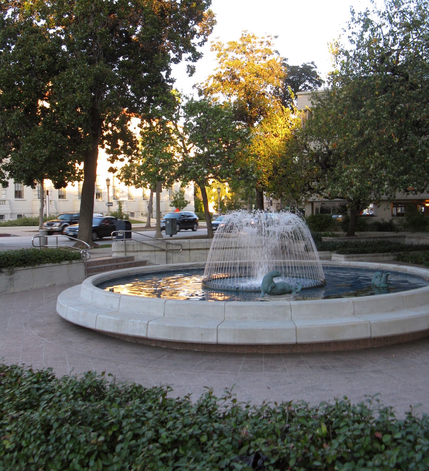 the sky is big in pasadena february theme day fountains