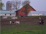 Kalona Farm