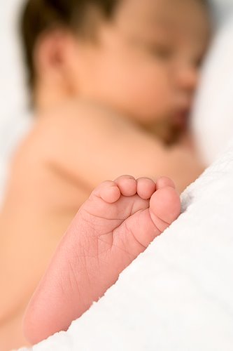 [DSC_0287-1cblog.jpg]