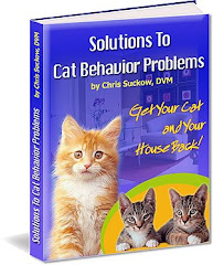 Solutions To Cat Problems