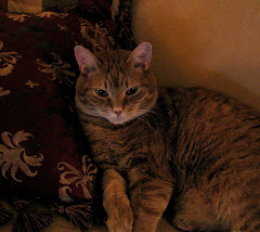 Ricky the Cat