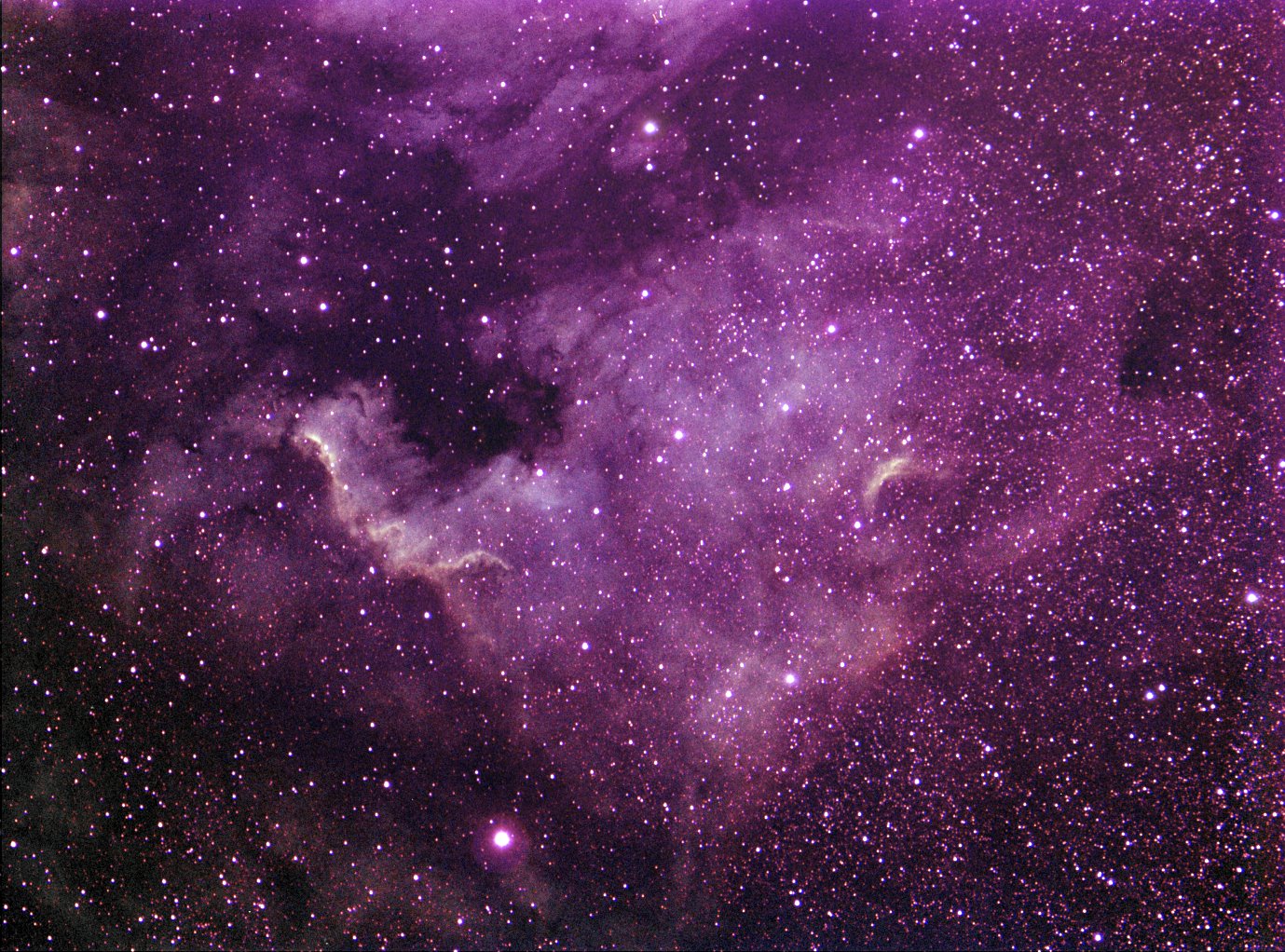 [NGC7000narNew+Stars_from_SII.jpg]