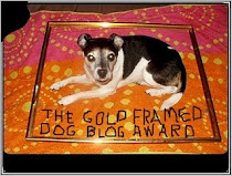 Gold Framed Dog Blog Award