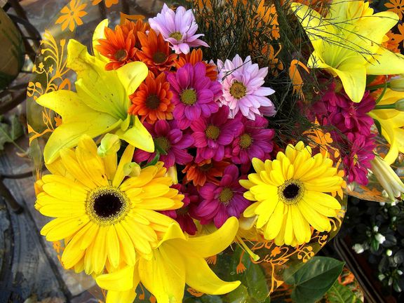 Magnolia ogrodzie magnolie magnolias dogwood numele tau crecen literario flowering bicentenario Un mimo para el alma. Delivery de flores