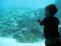 2008- seaworld