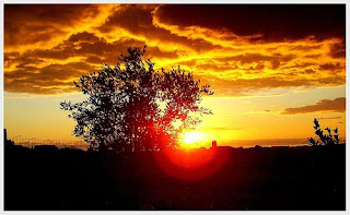 November christmas Life's Lemons to a 40ish Seeker: November 2008