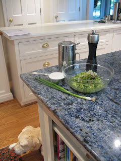 Zucchini Fritter ingredients with our dog, Lambeau