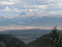 The Valley we call home