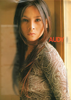 Audy ~ Noise Harmony