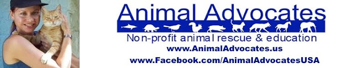 Mary Cummins, Animal Advocates, Cummins Real Estate Services